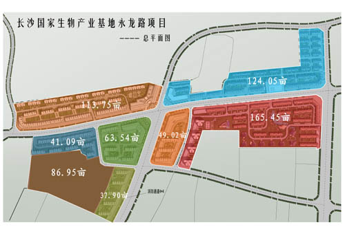 浏阳国家生物医药园城市片区规划