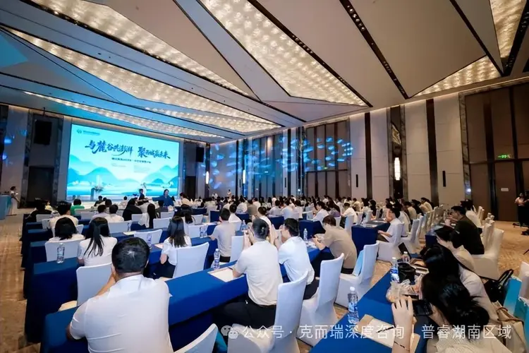 湖南麓谷发展集团2026年片区价值推介大会圆满落幕